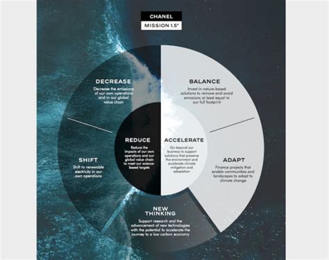 chanel environmental issues|Chanel sustainability project.